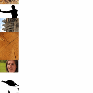 dce2b36667a6f1ec930604645ea2d63bd94ee88959724dfe8bd969ffbfd8578f