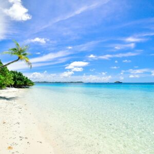 zopraxi-n8-api-004-beach