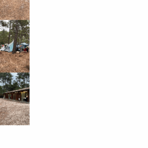 813be96a06ece7ed7a5c07d1f47d29155d3c7978b04cee593ae94dfeae683d5d